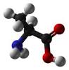 170px-L-alanine-3D-balls.png