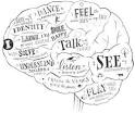 Is Your Brain Making You Fat? » Metabolic Effect Blog