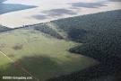 Amazon Rainforest News: Rash of murders threatens to silence ...