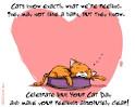 5/19 Hug Your Cat Day" | Pets May eCard | Blue Mountain eCards