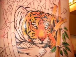 Tiger Tattoos