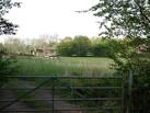 near to Norton Lindsey, Warwickshire, Great Britain. Hell's Kitchen Farm - via Daymix