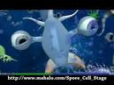 Spore