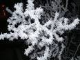 Crystallization - Simple English Wikipedia, the free encyclopedia