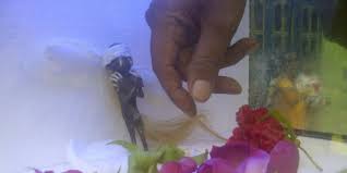 http://t3.gstatic.com/images?q=tbn:ANd9GcSOYUVkswCz--1y86aFGOHiXZUJgntki_ukhDTntTJL2b6IW1nx5Q