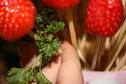 how to make fruit arrangements