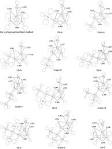 Theoretical studies of the effects of substituents on the ring ...