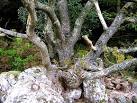 but has continued to thrive and form an intimate relationship with the - via Daymix