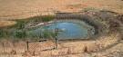 Habitat destruction, alteration and fragmentation
