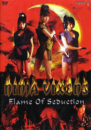 Ninja Vixens Flame Of Seduction 2006