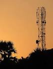 africa | MobileActive.