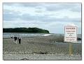 Charles Island Curse Milford CT - Brief History