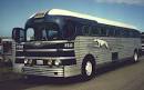 Greyhound Silversides Page