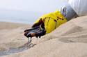 Environmental cleanup and remediation  loss of 12000 jobs   10