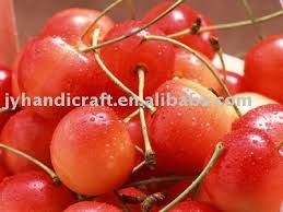  Top 10 Cherry Producing Countries in the World