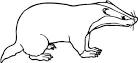 Badger coloring page