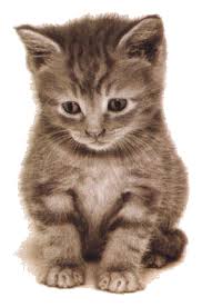 Ma douce !