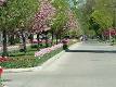 Holland, Michigan - Wikipedia, the free encyclopedia