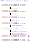 <b>frame-shift mutations</b> as