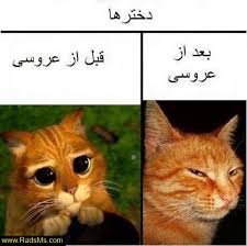 images?q=tbn:ANd9GcSQbLagqTc-jHI71shN0uKqmTZS4xs0qhaEnsXfApcdAMhm_O6ZaA