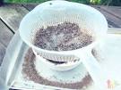 Make Your Own Beads Out of Sand | Miseducated