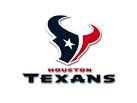 Houston Texans Logo