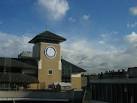 Battersea Dogs and Cats Home - via Daymix
