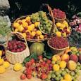 Discovery Health "What are carotenoids?"