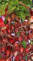 Beetroot - Wikipedia, the free encyclopedia