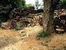 A woodman's workplace near Horsted Keynes - via Daymix