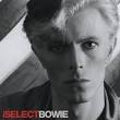 the hugest Bowie fan.