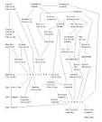 Introduction to Genre Theory