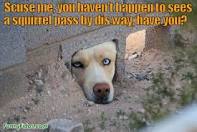 external image images?q=tbn:ANd9GcSRScG0s1PnLz60KSgSdq_S87ndrZmlFtMAnlRCT4vg82QoB3g2tyLWvJ594Q