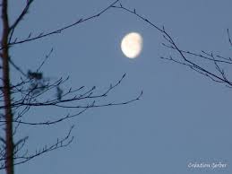 Mond 7.00 h - Bild \u0026amp; Foto von Helene Gerber aus Landschaft ...