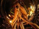 Swotti - War of The Worlds,