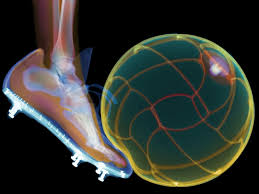 La giornata ai raggi X