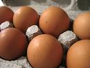 Do you know why some eggs are brown? | Katalin Health &amp; Fitness Driven