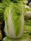 Chinese Cabbage