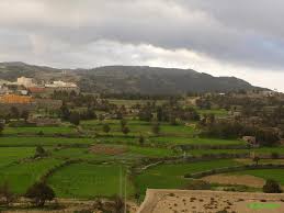 على زل الحرير ودله وبراد