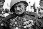 30 War and Suffering Themed Photographs « Stockvault.net blog ...