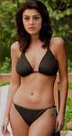 Hansika Motwani in bikini – fake?? – Bollywood Fantasy Pics