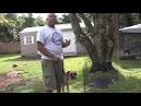 Dog Training Tips Crate-train An Adult Dog