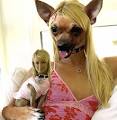 Paris Hilton dog head change | Best Funny Gifs and Animated Gifs ...