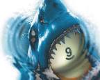 Crestview Sharks softball