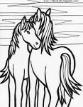 Horse coloring page