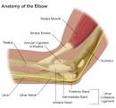 Pipe Colors: Elbow