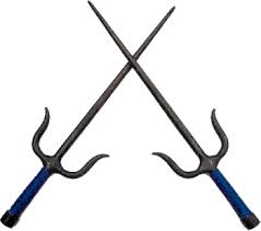 images?q=tbn:ANd9GcSTYmVPcQxtKXKVaPbXg4ROx-iC9jxw_aarWBR7mvmfzMQW6GFYEw