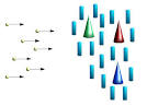 Rods &amp; cones absorb light, - via Daymix