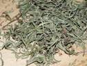Savory for Winter Dishes - Vegetable Gardener
