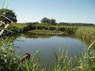 TQ0504 : Irrigation Pond - via Daymix